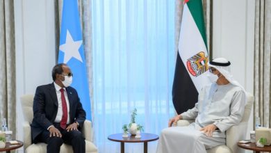 محمد بن زايد وحسن شيخ محمود
