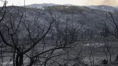 حرائق الجزائر