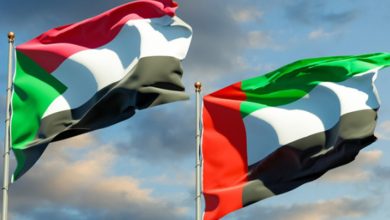 علما الإمارات والسودان