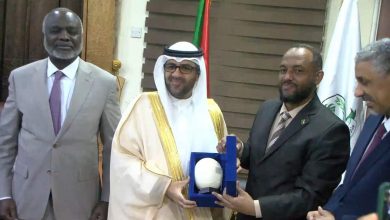 وزير المالية السوداني
