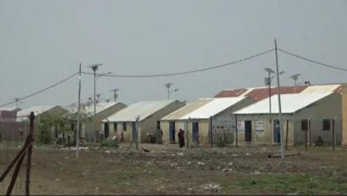 التقراي
