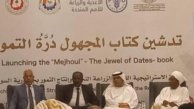 المجهول درة التمور