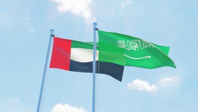 علما الإمارات والسعودية