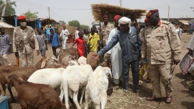 قوات الدعم السريع تلتزم بوقف إطلاق النار وبالمساعدات الإنسانية في السودان