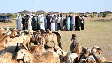 الإمارات مستمرة في أداء دورها الإنساني والإغاثي لتخفيف ظروف الحروب والكوارث الطبيعية