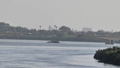 كوبري شمبات