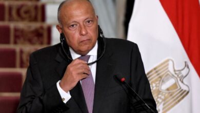 سامح شكري