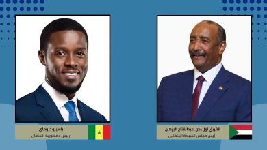 عبدالفتاح البرهان و باسيرو ديوماى