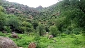 جبل-الداير