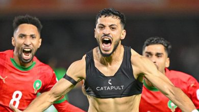 "أسامة الملوي يحتفل بهدفه في نهائي أمم أفريقيا للمحليين وسط فرحة عارمة."