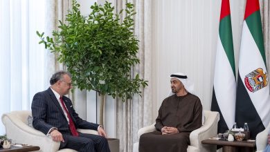 محمد بن زايد وبولس