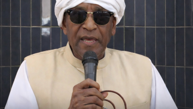 كامل إدريس