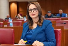 مديحة خيير