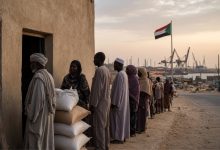 من الميناء إلى المائدة
