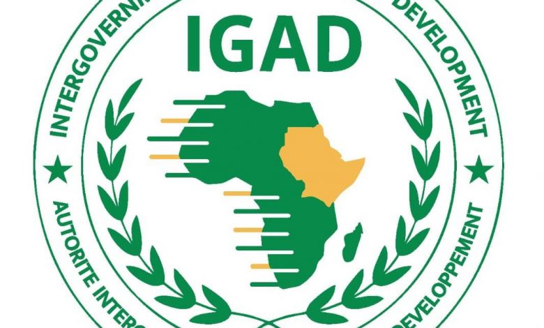 الهيئة الحكومية الدولية بالتنمية (IGAD)