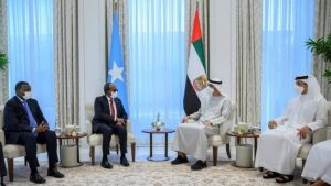 لقاء يجمع بين رئيس دولة الإمارات ورئيس الصومال في قصر الشاطئ