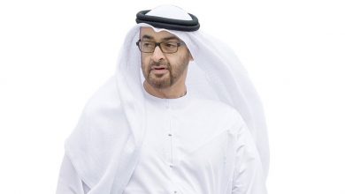 الشيخ محمد بن زايد