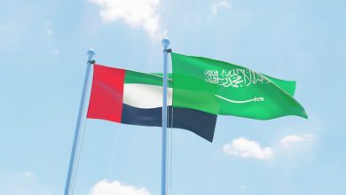 علما الإمارات والسعودية