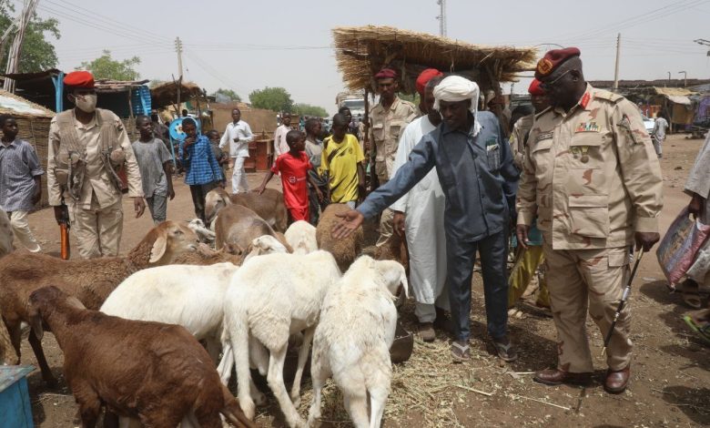 قوات الدعم السريع تلتزم بوقف إطلاق النار وبالمساعدات الإنسانية في السودان 