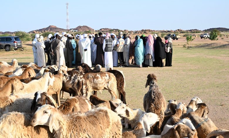 الإمارات مستمرة في أداء دورها الإنساني والإغاثي لتخفيف ظروف الحروب والكوارث الطبيعية