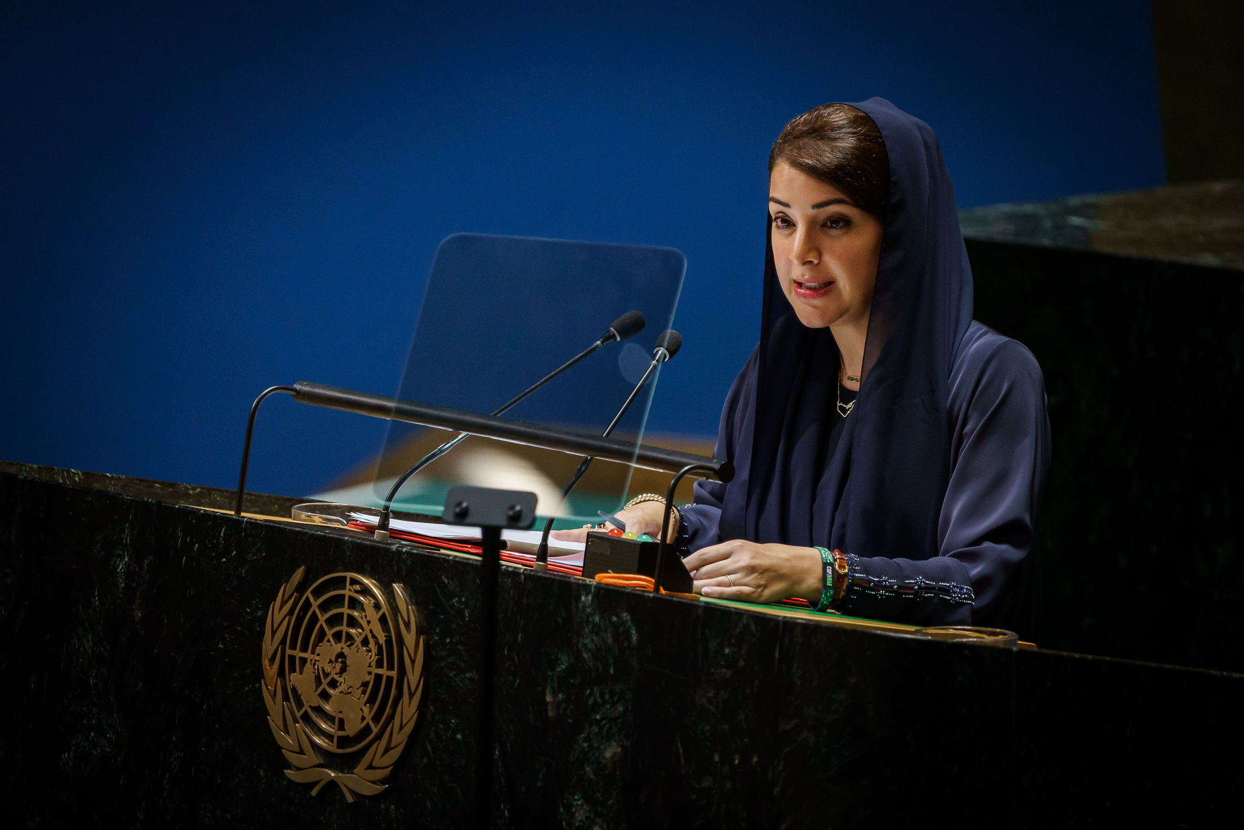 ريم بنت إبراهيم الهاشمي - وزيرة دولة لشؤون التعاون الدولي