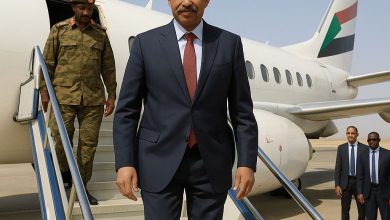كامل-إدريس