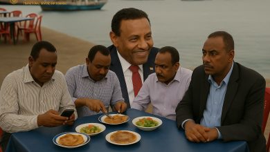 شلة-السقالة