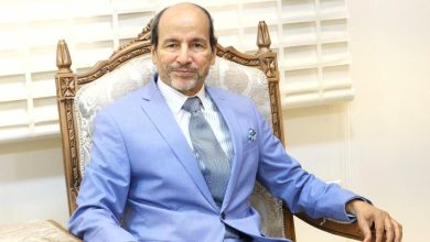 محمد ماء العينين