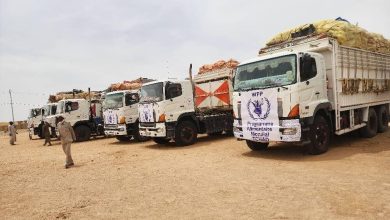 مبادرة نيالا