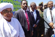 حكومة الأمل