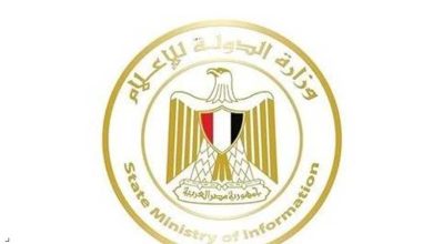 وزارة الإعلام المصرية