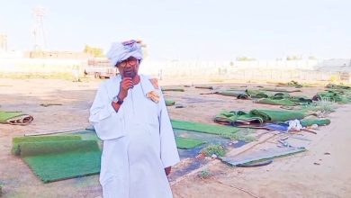 نصر الدين حميدتي