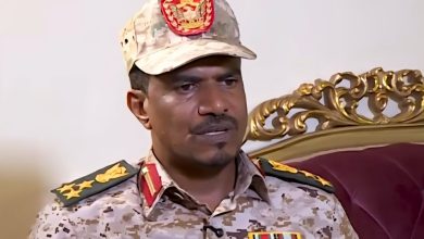 السافنا