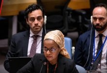 حنان سليمان