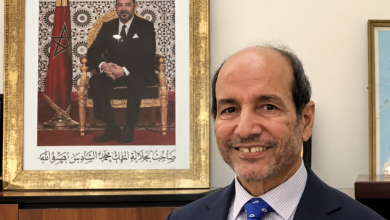 محمد ماء العينين