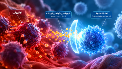 اكتشاف آلية طبيعية تساعد الجسم على إيقاف الالتهاب وتنظيم الاستجابة المناعية