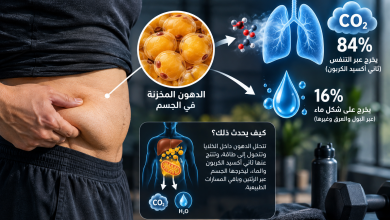 إنفوجرافيك يوضح مسار الدهون عند حرقها: 84% تخرج زفيراً كثاني أكسيد كربون، و16% تخرج سوائل كالماء والبول.